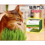 猫草 エイムクリエイツ 犬と猫が好きな草 栽培セット ペットグラス