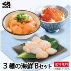 ku. суши * выгода! морепродукты комплект [B: Hokkaido производство . длина & salmon порез ..&... соевый соус .. комплект ] лотерейный мешок ... выгода бесплатная доставка 