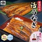 6/30 до скорейший предварительный заказ 500 иен скидка .. суши земля для .. день рефрижератор префектура Аичи производство ....1 хвост комплект 120g и больше / хвост * красный суп есть *7/24~7/25 доставка *7/1.. обычная цена . распродажа 