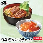 詰合せセット くら寿司 うなぎ＆いくらセット「うなぎの蒲焼6食+鱒いくら60g×2個」 福袋 お得 送料無料