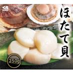 ショッピングホタテ くら寿司厳選 北海道産 ほたて 250g 15〜18粒 1~2人前  5Sサイズ ホタテ 四大添加物無添加 冷凍 刺身 帆立 バラ凍結