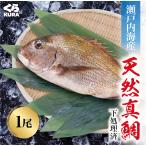 ku. суши Seto внутри море производство подлинный морской лещ 200g