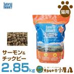 ナチュラルバランス 猫用 サーモン&amp;チックピー 2kg (室内猫用 アレルギー配慮 穀物不使用 ドライフード キャットフード ペットフード)