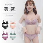 ブラショーツセット ブラジャ ショーツ  育乳ブラ　盛れる ノンワイヤー　ナイトブラ　パッド 補正　SNS話題 韓国