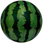 ビーチボール 特大 リアルスイカボール ふくらましサイズ約60cm