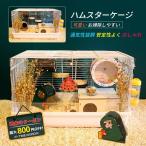 ハムスターケージ 大きい 透明 組立式 1階 広々タイプ 給水器付き ペット用品 小動物用品 ハムスター用 頑丈 ケージ お散歩 休憩 外出