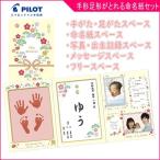 手形足形セット 赤ちゃん おたんじょうきろく 手を汚さずに手形足形がとれる命名紙セット ベビー baby スタンプ 出産記念 パイロットインキ ゆうパケット
