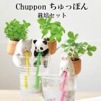 栽培キット Chuppon ちゅっぽん 「即納」 栽培セット 植物 動物 グリーン ハーブ 野菜 クローバー ワイルドストロベリー バジル ミント インテリア 置物