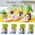 栽培キット Peropon ペロポン 「即納」 栽培セット 植物 動物 グリーン ハーブ 野菜 クローバー ワイルドストロベリー バジル ミント インテリア 置物