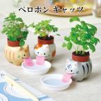  культивирование комплект Peroponperopon Cat's tsu культивирование комплект растения зеленый трава лесная земляника базилик мята mike кошка скумбиря тигр чай тигр симпатичный модный 