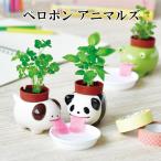  культивирование комплект Peroponperopon животное z культивирование комплект растения животное зеленый трава овощи clover базилик мята собака Panda лягушка симпатичный модный 