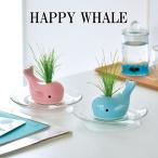  культивирование комплект HAPPY WHALE happy ho e-ru культивирование комплект кит . кит растения зеленый трава газонная трава сырой газонная трава интерьер симпатичный стиль 