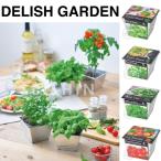 『栽培セット』 Delish Garden デリッシュガーデン 「即納」 栽培キット 植物 ハーブ 野菜 ミント バジル パクチー コリアンダー ミニトマト