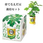 栽培キット えだまめ栽培セット 「即納」 栽培セット 植物 枝豆 えだまめ ビール おつまみ つまみ お酒 酒 インテリア 置物 グッズ