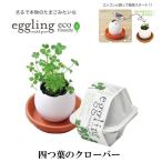 栽培キット eggling eco friendly エッグリング エコフレンドリー 四つ葉のクローバー 「即納」 栽培セット グリーン 四つ葉 クローバー タマゴ たまご