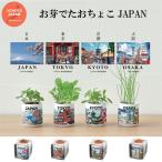  культивирование комплект ........JAPAN.. васаби . три лист лук порей культивирование комплект . вид овощи перилла Mitsuba лук-батун симпатичный модный подарок зеленый интерьер украшение 