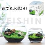 栽培キット 育てる水草(S) 栽培セット 水草 種 流木 植物 かわいい おしゃれ ギフト グリーン インテリア 置物 グッズ