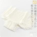  японский костюм шорты защищающий от холода зимний сделано в Японии .... теплый LINE легкий . запрет для шорты японский костюм корректирующее нижнее белье нижнее белье внизу .. брюки z мясо для жаркого кимоно внутренний женский 