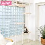 マルカン キティウォーク 猫 キャットウォーク キャットタワー CT-523 天井 突っ張りタイプ