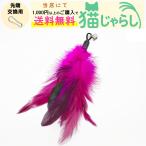 PET PINA кошка .... игрушка для замены перо модель колокольчик имеется . розовый 