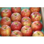 サンつがるりんご贈答用約10kg大...