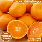 12 месяц предварительный заказ Wakayama Arita производство . сверху .. мандарин 5kg~10kg.. для mi can меласса . Unshu . река . сырой превосходящий товар Special . товар прямая поставка от производителя *..... налог нет 