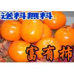 2025年11月分予約 和歌山 九度山産 富有柿 大玉 秀品 約1.8kg 2L〜3L 6〜8個入 * ふるさと納税 ではありません