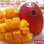 5月分予約 全額返金保証 マンゴー 太陽のタマゴ 宮崎マンゴー 3L 大玉2玉 約1kg 化粧箱入 太陽のたまご ギフト 宮崎県 完熟 完熟マンゴー NN 母の日 父の
