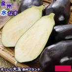 (訳あり)  泉州 水なす 大玉15個 約3kg ギフト 水ナス 水茄子 お中元