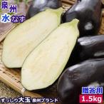  Izumi . raw water eggplant 10 piece approximately 1.5kg vanity case go in .. for water nas water .. gift 