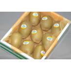 愛媛産ゼスプリ ゴールド キウイフルーツ 1kg8~12玉 化粧箱入 冷蔵同梱 可能商品 * ふるさと納税 ではありません