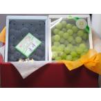 Yahoo! Yahoo!ショッピング(ヤフー ショッピング)【100円OFFクーポン対象】送料無料 長野産 巨峰1kg 岡山産 マスカット1kg 詰め合わせ 化粧箱入 6月中旬以降の発送予定 ぶどう ブドウ 葡萄 ギフト プレゼント フ