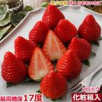 12 month minute reservation Tokushima production Sakura .. strawberry 2 pack approximately 440g vanity case go in .. oriented S10