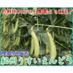 【2023年2月分予約】和歌山産 うすいえんどう(実えんどう) 約1kg入 Lサイズ 産地直送 紀州うすい S10