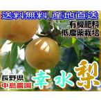 産地直送 減農薬 長野産 幸水梨 約9キロ 24〜30個入 ご家庭用 訳あり 幸水 梨 和梨 有機肥料使用