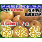 (訳あり) 最高糖度17度 ブドウなみの甘さと独特の食感 長野産 減農薬 南水梨 約4.5キロ 12〜15個入 産地直送 梨 南水 和梨