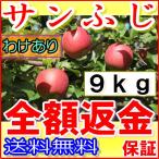 産地直送 長野産 減農薬 有機肥料使用 サンふじ ご家庭用 約9kg24〜50個入 完熟 林檎 リンゴ りんご