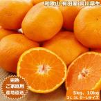 12 месяц предварительный заказ Wakayama Arita производство . сверху .. мандарин 5kg~10kg есть перевод mi can меласса . Unshu . река . сырой для бытового использования прямая поставка от производителя *..... налог нет 
