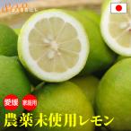 (訳あり) 愛媛産 無農薬 レモン 3kg 国産 産地直送 ore