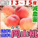 7月分予約 糖度13〜15度 減農薬 岡山 白鳳 白桃 桃 大玉11〜13玉 約3.7kg〜4kg 化粧箱入 贈答用 ギフト 産地直送 * ふるさと納税 ではありません