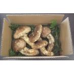 10月分予約 松茸 国産 ひらき 500g 入 まつたけ マツタケ 長野産 ギフト 産地直送 asai * ふるさと納税 ではありません