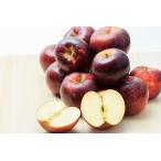 (訳あり) 長野 減農薬  秋映  約4.5kg12〜25個入 秋映え りんご リンゴ 小山