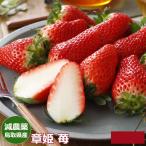 2027 год 1 месяц минут предварительный заказ . пестициды Tottori префектура производство глава .. клубника .. для крупный 15~18 шар 450g несессер входить прямая поставка от производителя *..... налог нет 