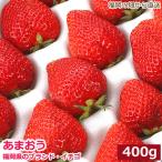 産地直送 低農薬 福岡県産あまおう 贈答用 400g 大粒12〜18玉 化粧箱入 いちご 苺 イチゴ