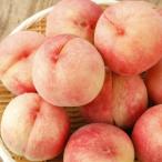 2026年分予約減農薬福島産桃約4...