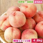 7月分予約 糖度13〜15度 桃 減農薬 訳あり 約4.8kg 15〜18玉入 品種お任せ 川中島白桃 長野産 産地直送 小山 なつっこ 3h * ふるさと納税 ではありません