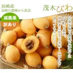 減農薬 長崎産 茂木 びわ 約1kg 訳あり Lサイズ 24玉前後入 ビワ 枇杷 母の日 産地直送 * ふるさと納税 ではありません