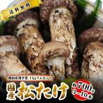 10月分予約 国産 松茸 中つぼみ(半開き) 約700g 3~10本程度 まつたけ マツタケ 岡山 ギフト 利平栗1kgオマケ付き * ふるさと納税 ではありません