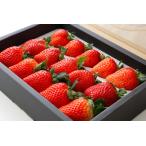 減農薬愛媛産いちご400g12〜1...