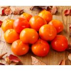 ショッピングふるさと納税 2026年11月分予約 低農薬 和歌山 富有柿 約7.5kg 贈答用 21個~31個位 秀品 産地直送 * ふるさと納税 ではありません